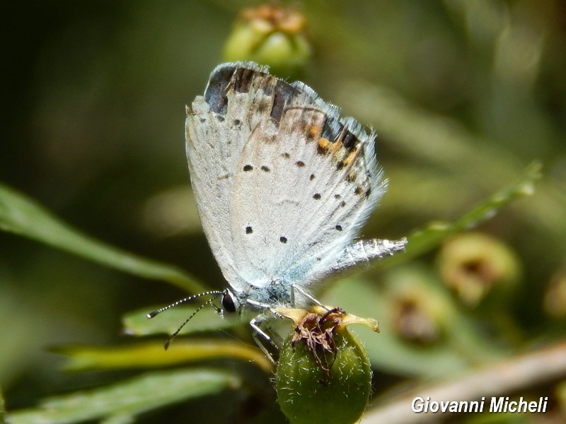 Parco del Ticino: incontri del 26.7.15